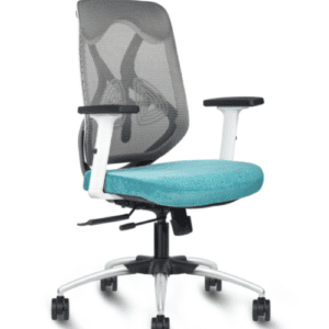 Mid Back Breathable Mesh Ergonomic Chair in Teal White Color