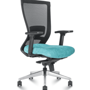 Echo Black Shell Office Chair