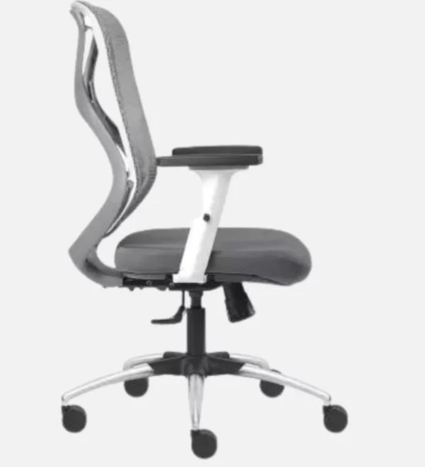 Medium Back Mesh Chair with 2D Lumbar Support
