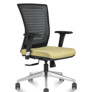 Ergonomic Mid Back Mesh Chair with Adjustable Arms