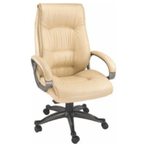 High Back Soft Cushion Executive Chair with Padded Armrests