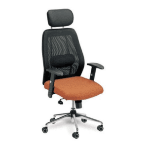 Revolving High Back Ergonomic Adjustable Office Mesh Chair in Orange & Black