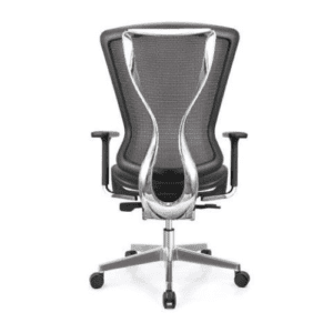 Mid Back Ergonomic Revolving Mesh chair with 2D Lumbar Support in Silver & Black