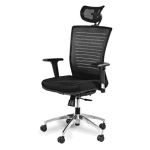 High Back Mesh Ergonomic Chair with 2D Adjustable Arms & Lumbar Support