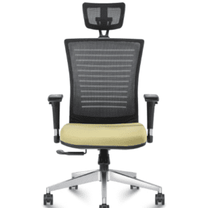 High Back Mesh Chair with Adjustable Arms