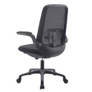 Height Adjustable Office Chair with Arms