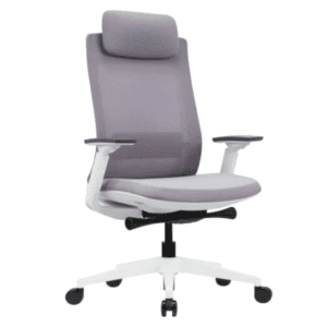 Premium Ergonomic Imported Visitor Chair