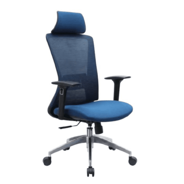 Sleek High Back Premium Mesh Back Chair in Blue